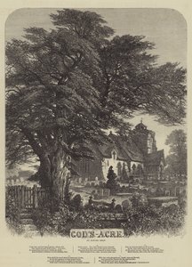 Le Champ de Dieu - Samuel Read